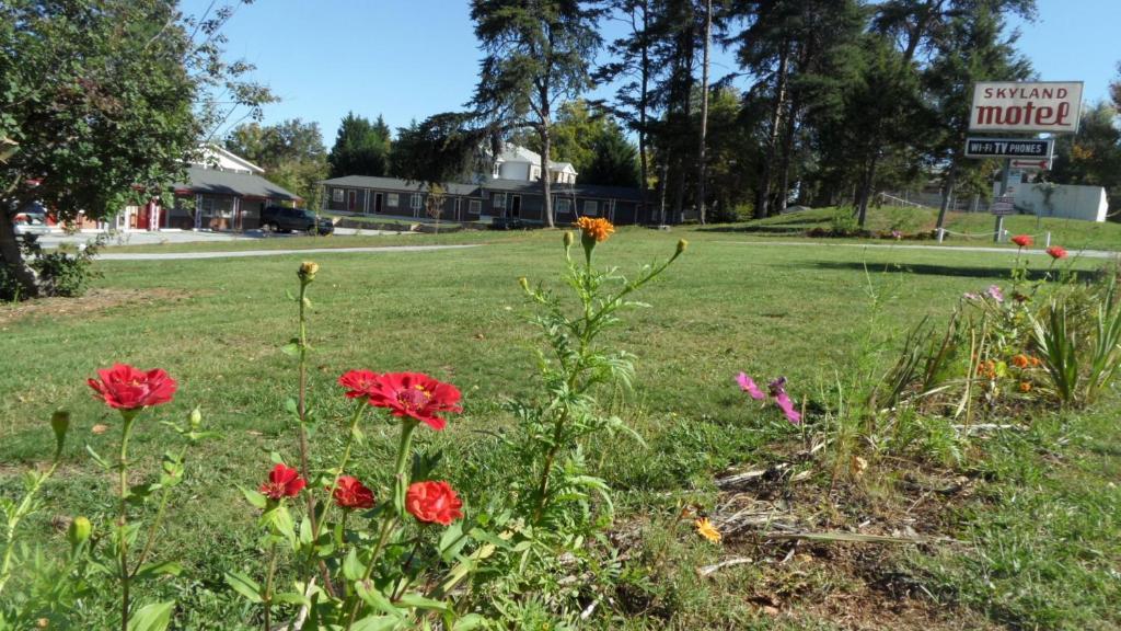 Skyland Motel Cornelia Exterior foto